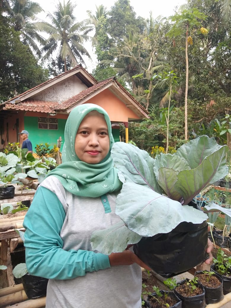 Ketahanan Pangan Berkelanjutan melalui Sayuran Organik