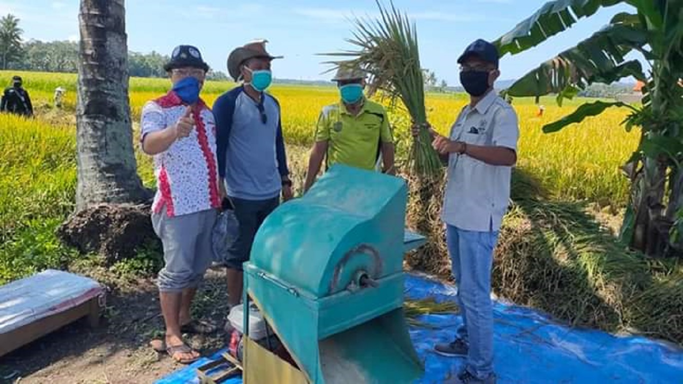 Pangandaran Farmers Continue Harvesting to Meet Food Needs Amid Pandemic