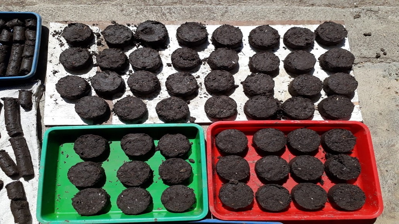 JAMTANI ORGANIC STANDART (JOS)