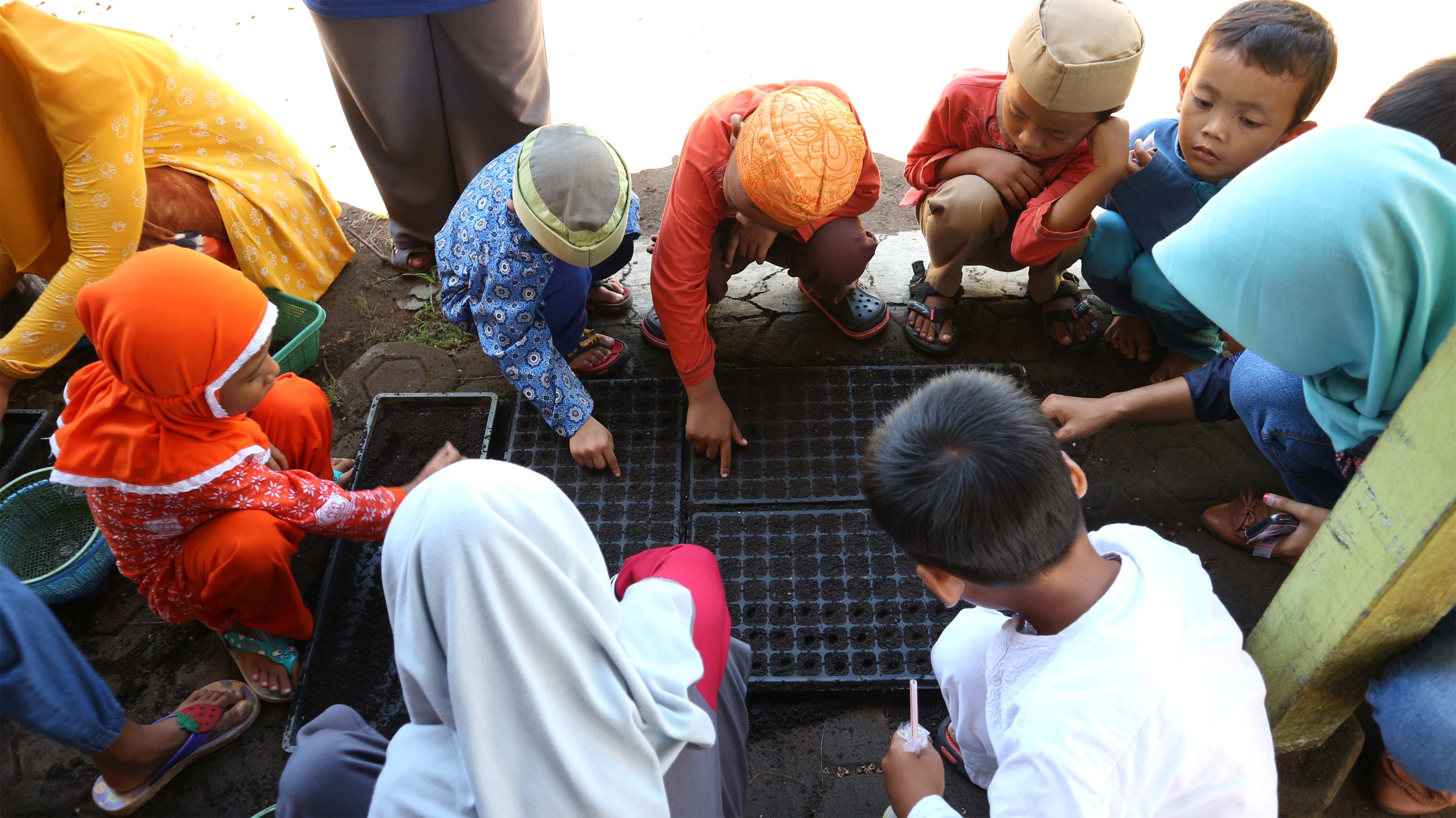 JAMTANI dan Yayasan Al Musri : Latihan Penyemaian Sayur