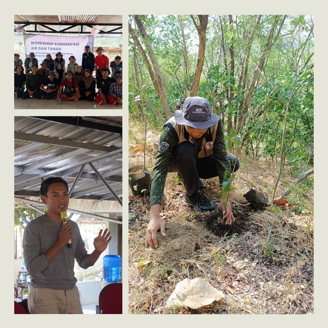 Soil and Water Conservation through Practical Assessment of Soil Ecology and Multi Purpose Tree Species (MPTS)