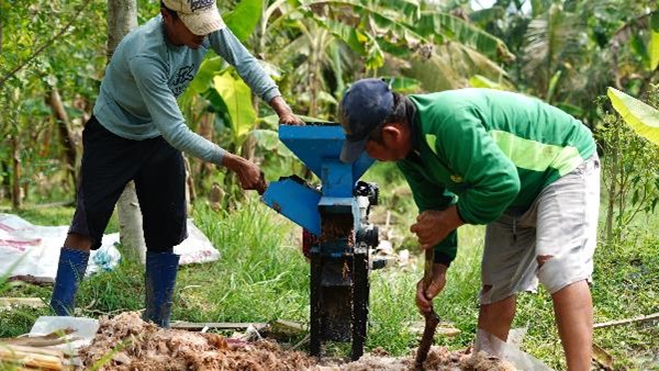 pemanfaatan batang pohon pisang