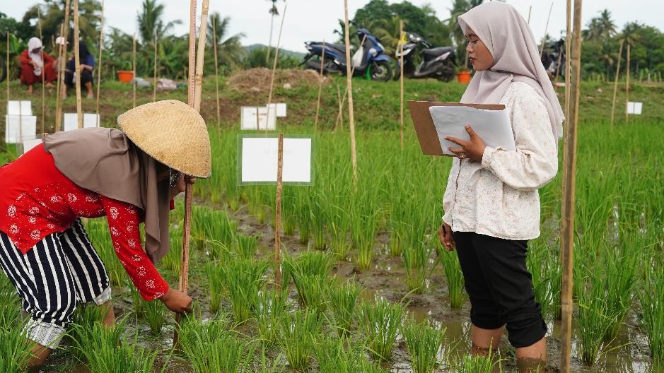 Sekolah lapang iklim